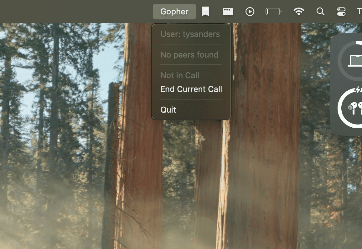 High Performance Video Chat